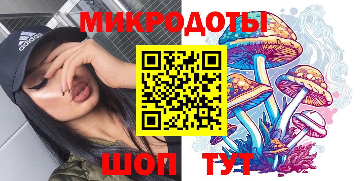 Галлюциногенные грибы ЛСД  купить наркоту  Рузаевка  Вход с VPN  Галлюциногенные грибы прущие грибы 